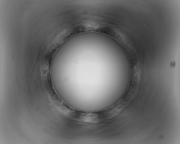 X0000111780463200907301125