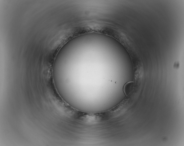 X0000111780464200907301125