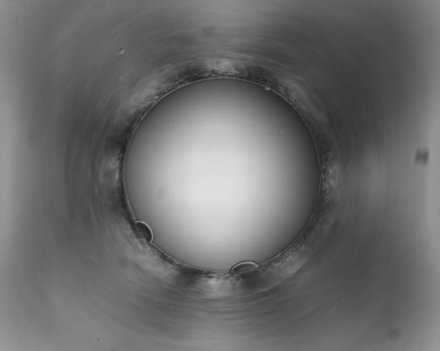 X0000111780466200907301125