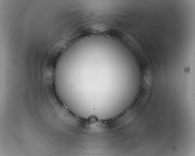 X0000111780468200907301125
