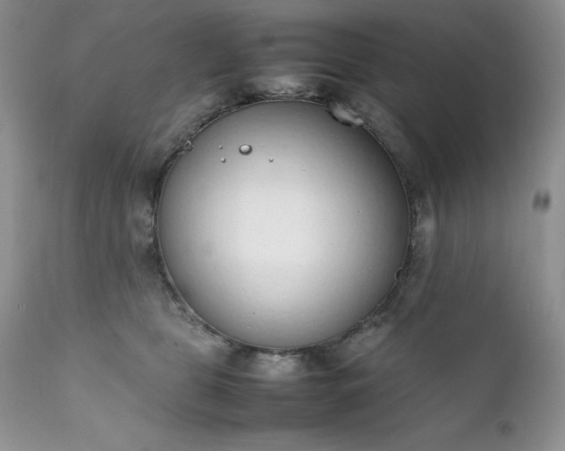 X0000111780469200907301125