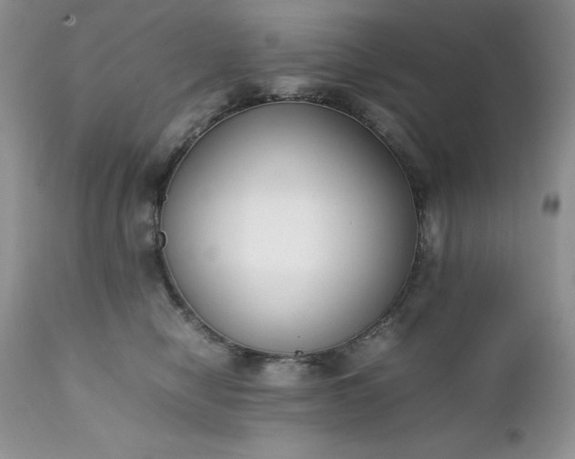 X0000111780470200907301125