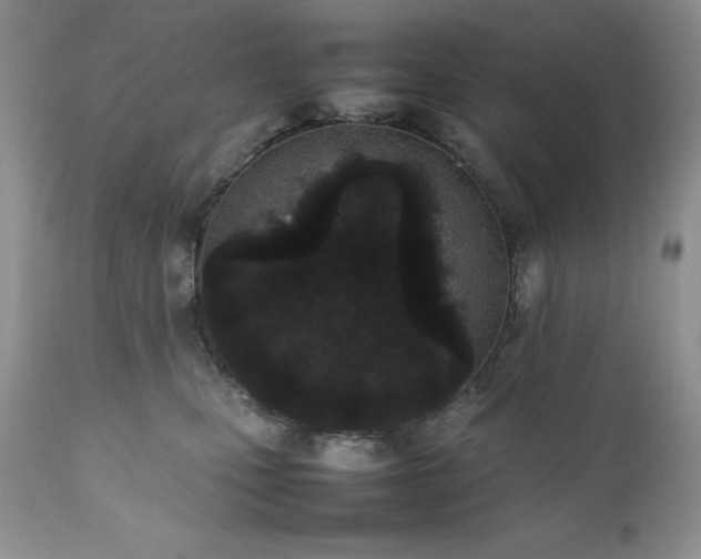 X0000111780471200907301125
