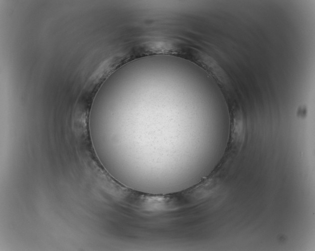 X0000111780473200907301125