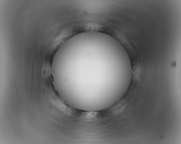 X0000111780474200907301125