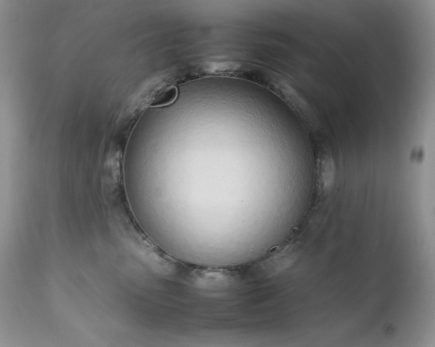X0000111780475200907301125