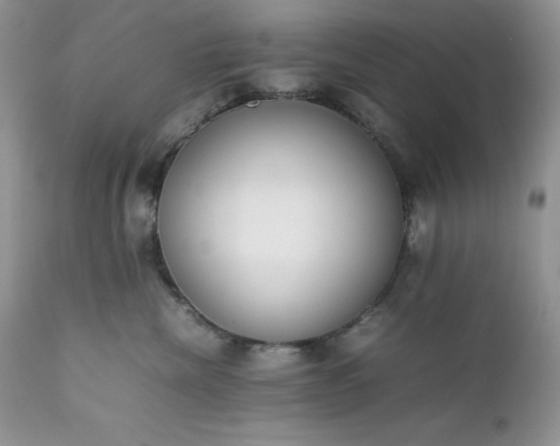 X0000111780476200907301125