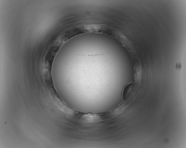 X0000111780477200907301125