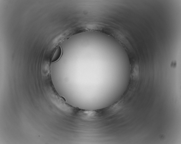 X0000111780478200907301126