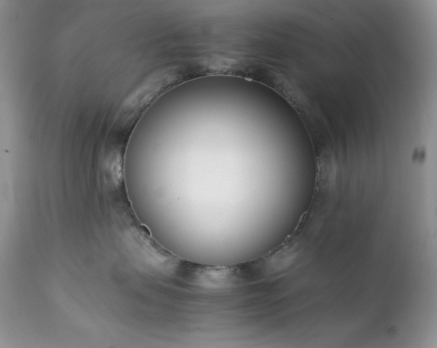 X0000111780479200907301126
