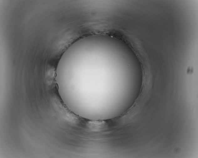 X0000111780480200907301126