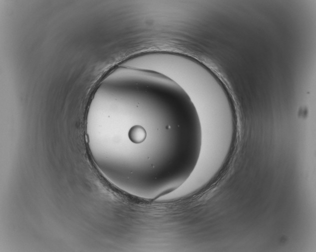 X0000111780481200907301125