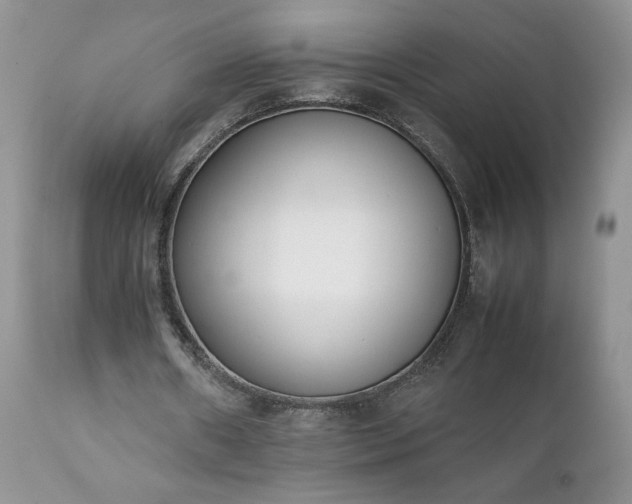 X0000111780482200907301125
