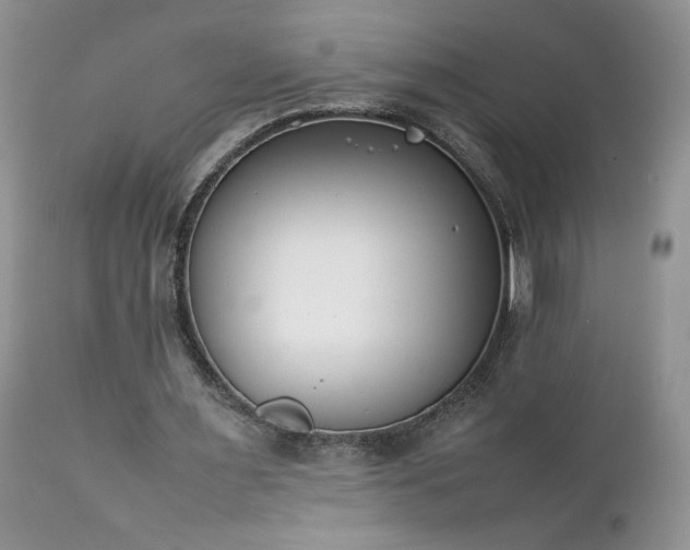 X0000111780483200907301124