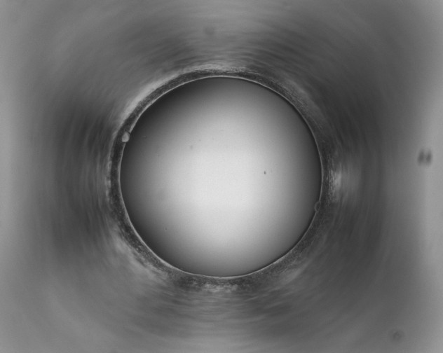 X0000111780484200907301124