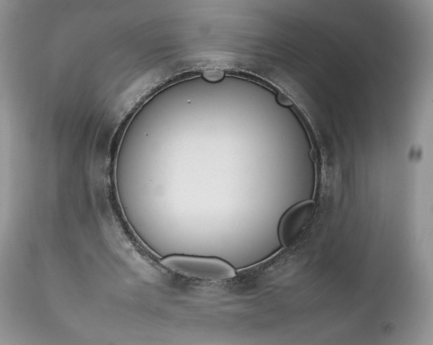 X0000111780485200907301124