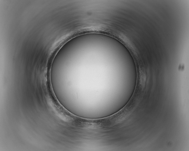 X0000111780486200907301124