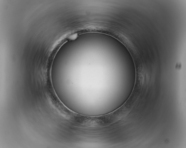 X0000111780488200907301124
