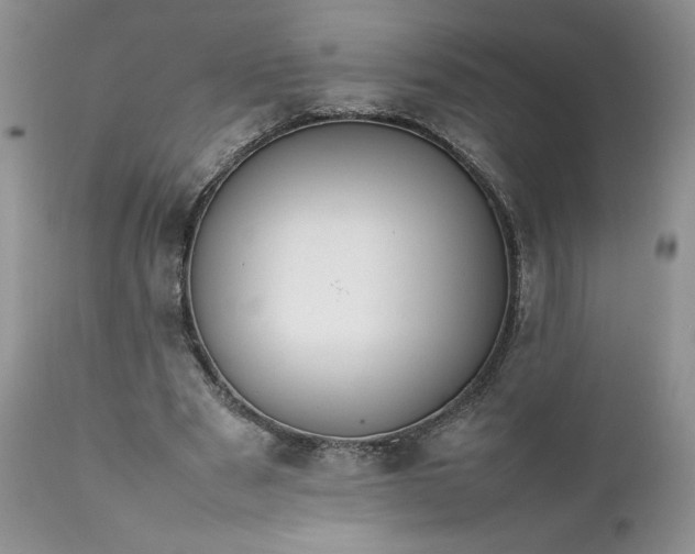X0000111780489200907301124