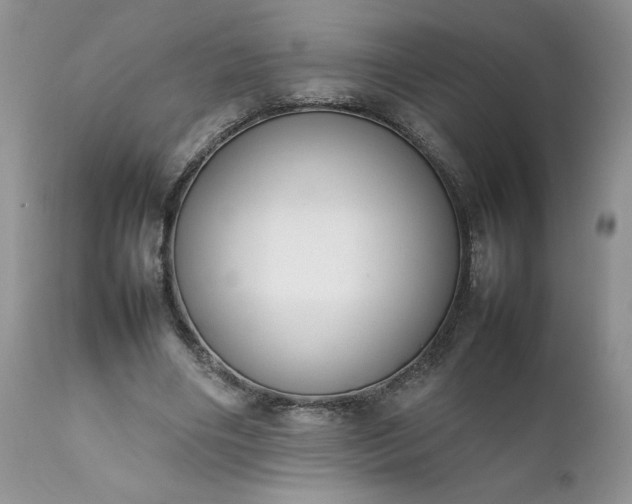 X0000111780490200907301124