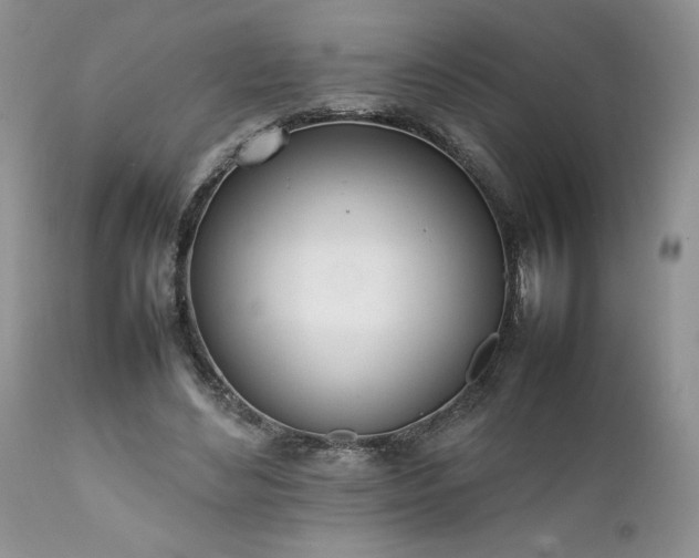 X0000111780492200907301124