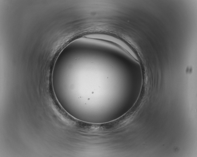 X0000111780493200907301124