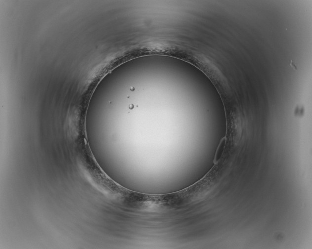 X0000111780496200907301124