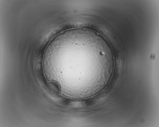 X0000111780499200907301124