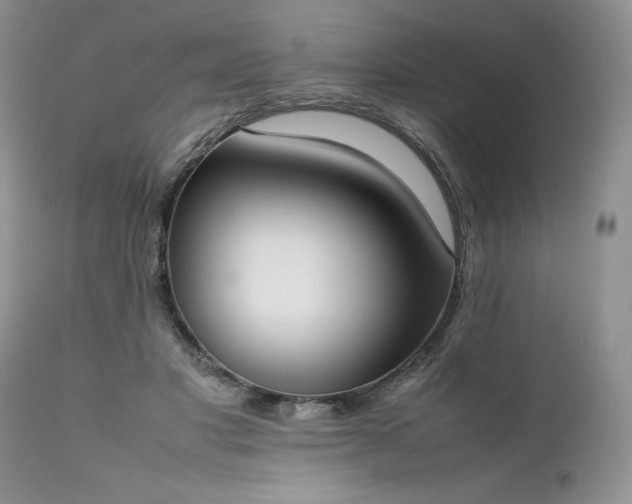 X0000111780501200907301124