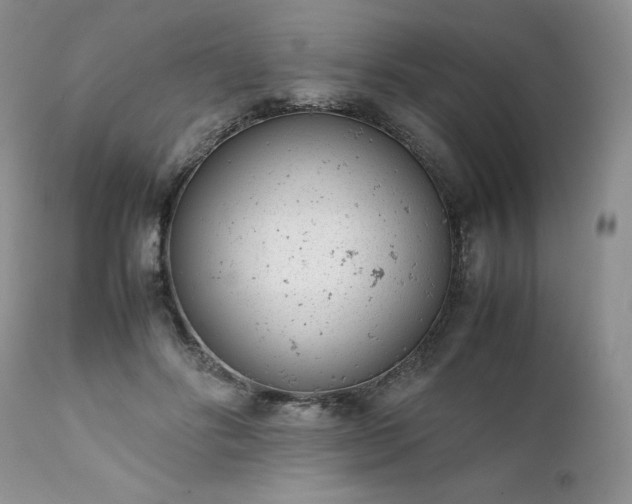 X0000111780502200907301124