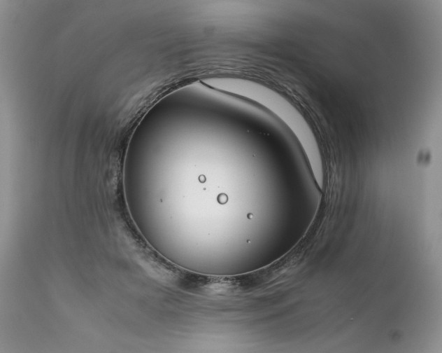 X0000111780505200907301124