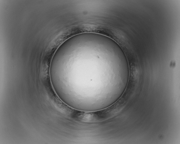 X0000111780507200907301124