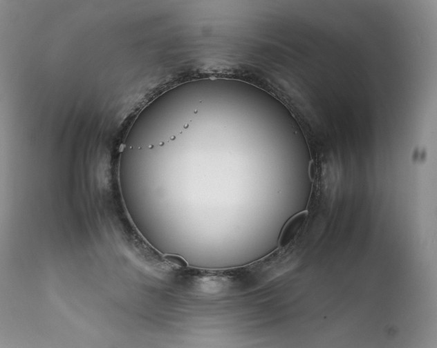 X0000111780508200907301124