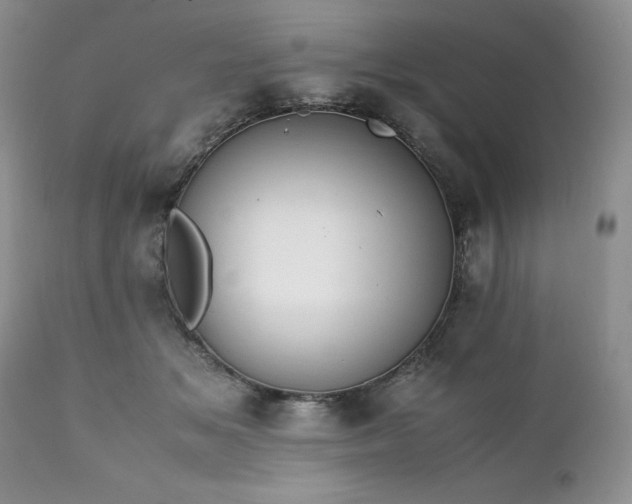 X0000111780509200907301124