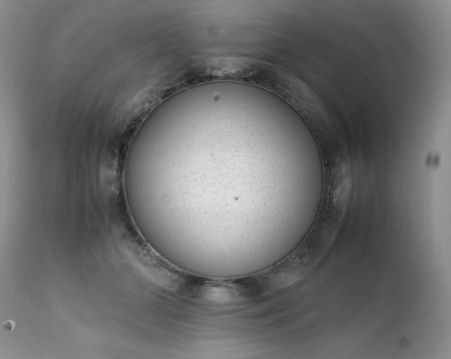 X0000111780510200907301124