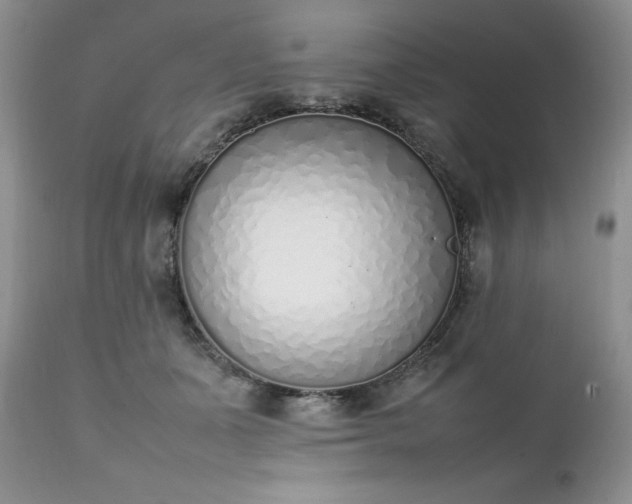 X0000111780511200907301124