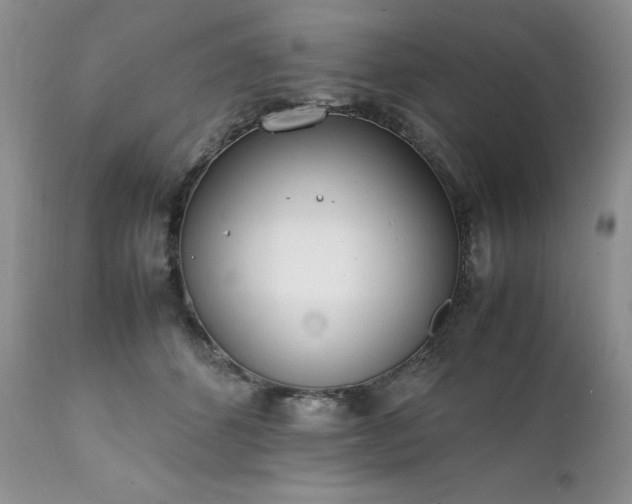 X0000111780512200907301124