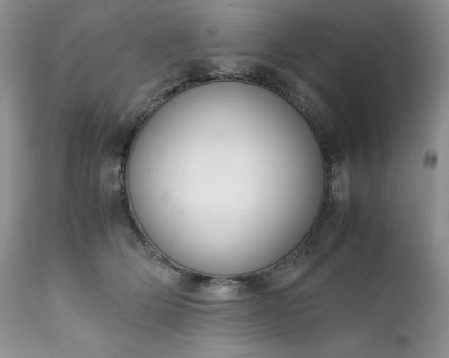X0000111780514200907301124