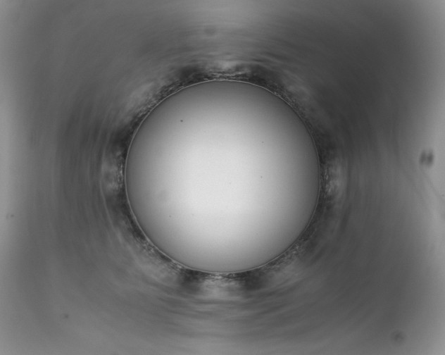 X0000111780515200907301124