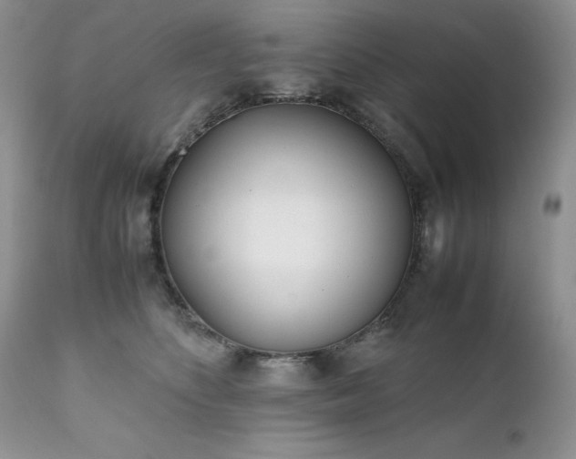 X0000111780516200907301124