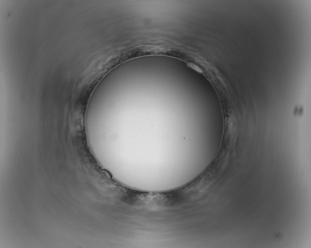 X0000111780517200907301124