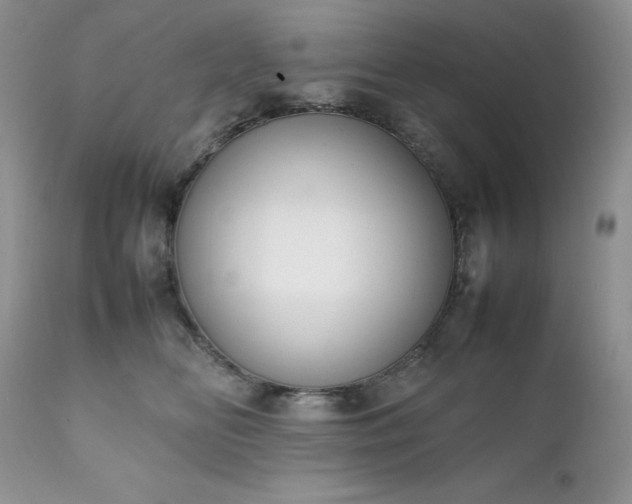 X0000111780518200907301124