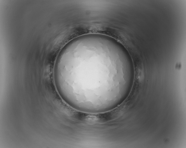 X0000111780519200907301124