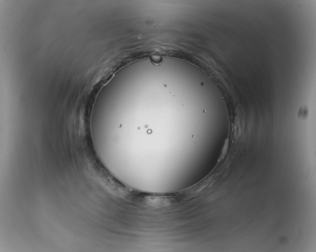 X0000111780520200907301124
