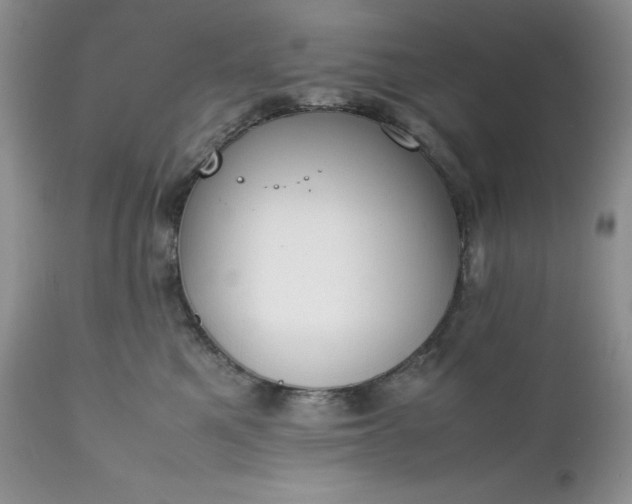 X0000111780521200907301124