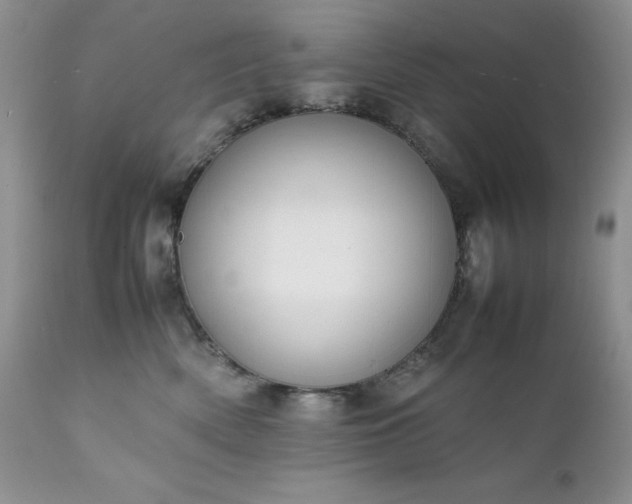 X0000111780522200907301124