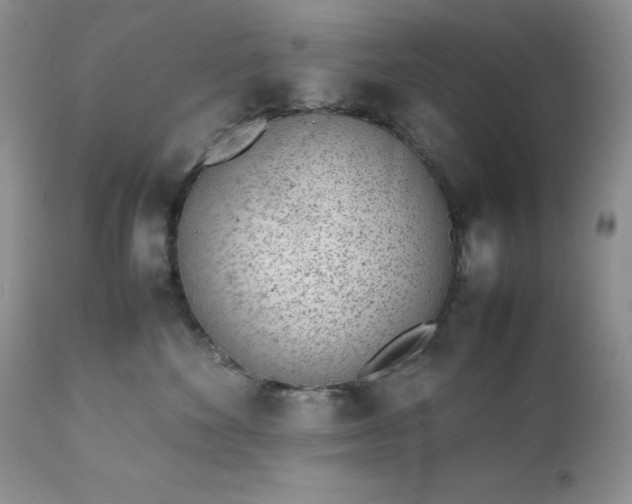X0000111780524200907301124