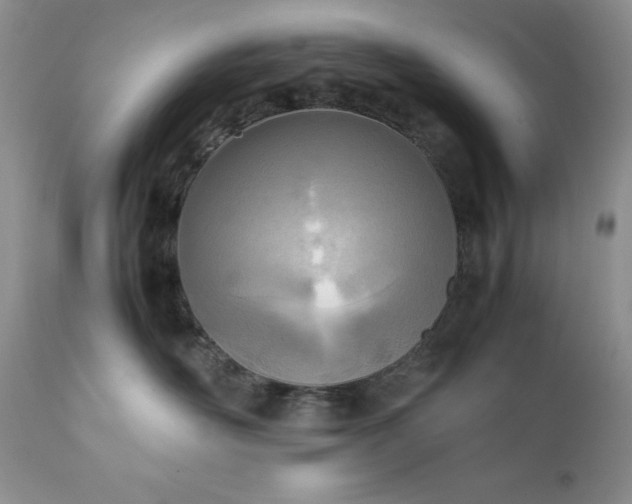 X0000111780526200907301124
