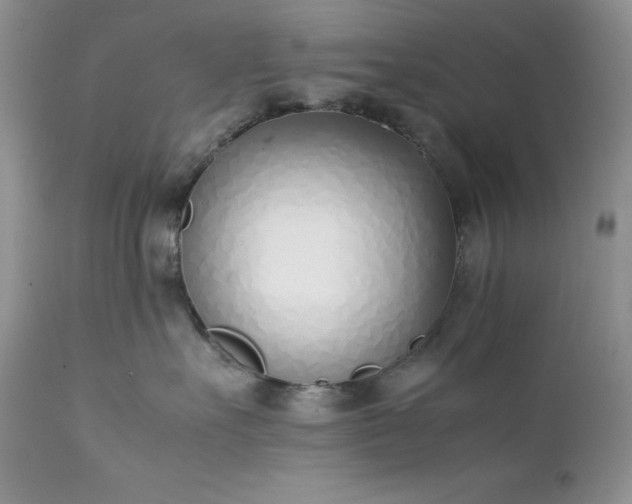 X0000111780527200907301124