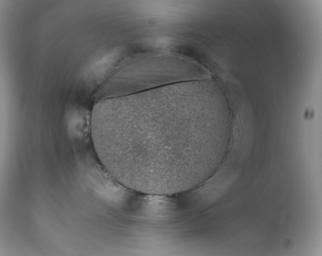 X0000111780528200907301124